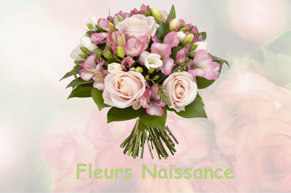 fleurs naissance SAINT-AUBAN