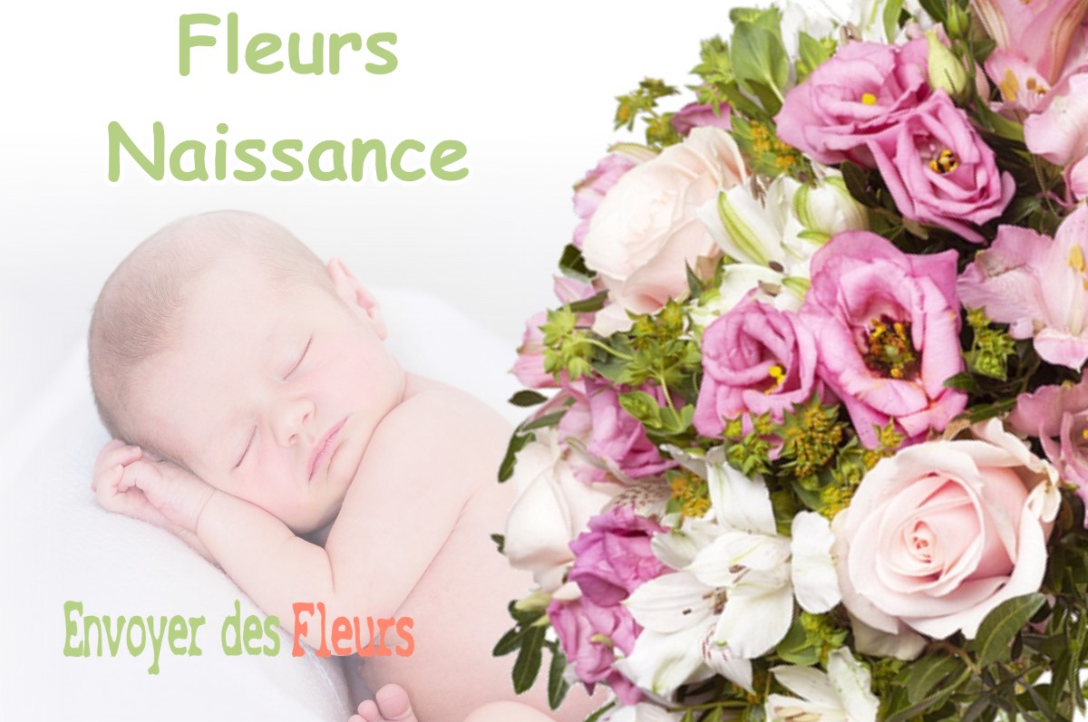 lIVRAISON FLEURS NAISSANCE à SAINT-AUBAN